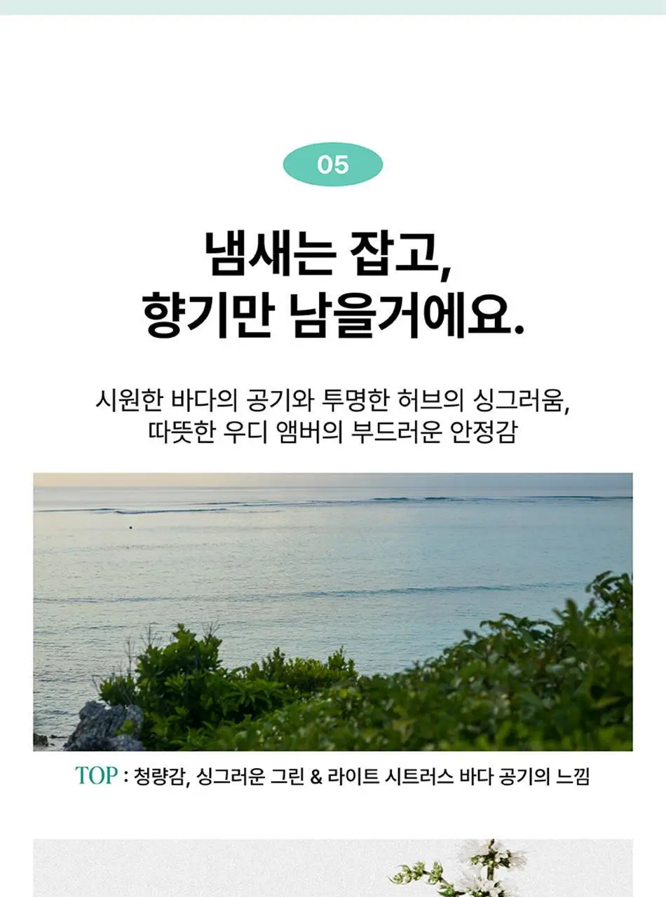 [NEW] 말표 신발탈취제 풀잎향 상세페이지 22